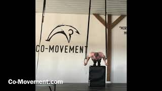 Maltese Ring Push Ups