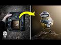 Bird Photography - How to take sharp photos?