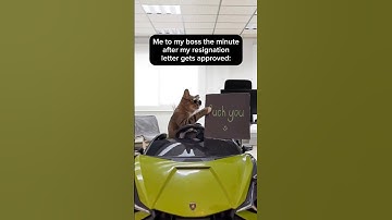 New Chapter? Let SimpleApply.ai Find the Job You Deserve