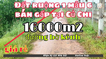 Nhà đất củ chi | giá rẻ | giới thiệu | 1 mẫu 6 đất ruộng cần bán gấp Xã Tân An Hội