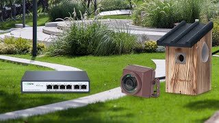 Bird Box Camera HD with 1000ft network cable setup