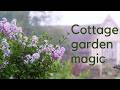How to get the British Cottage Garden look