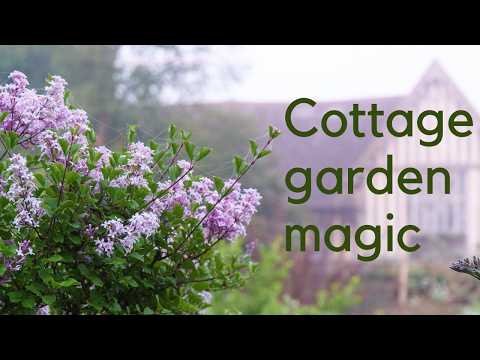 How to get the British Cottage Garden look