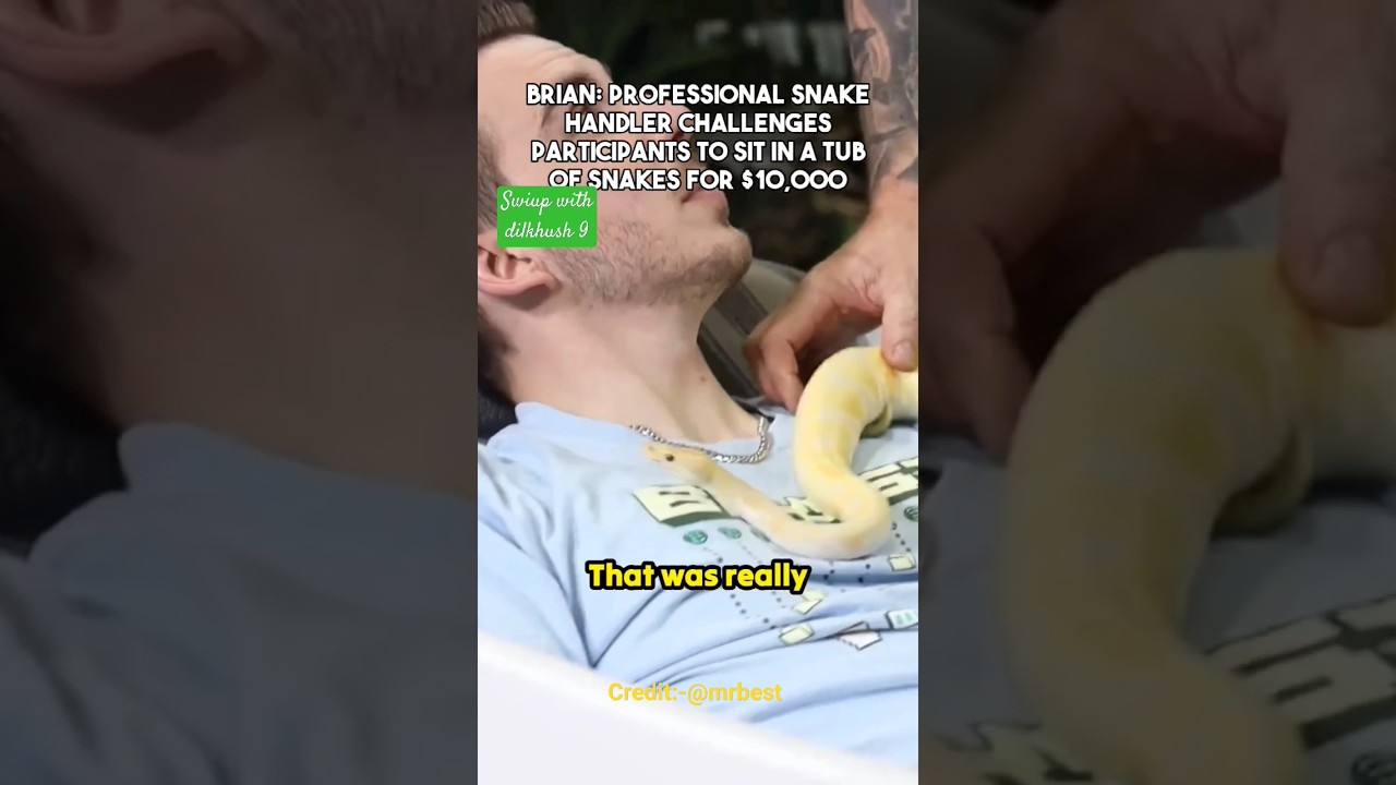 Brian: Professional snake handler challenges participants 