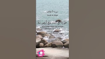 قال رب اوزعني ان اشكر نعمتك | سورة الاحقاف 💙💚 #دعاء_ورسالة Surah Al-Ahqaf