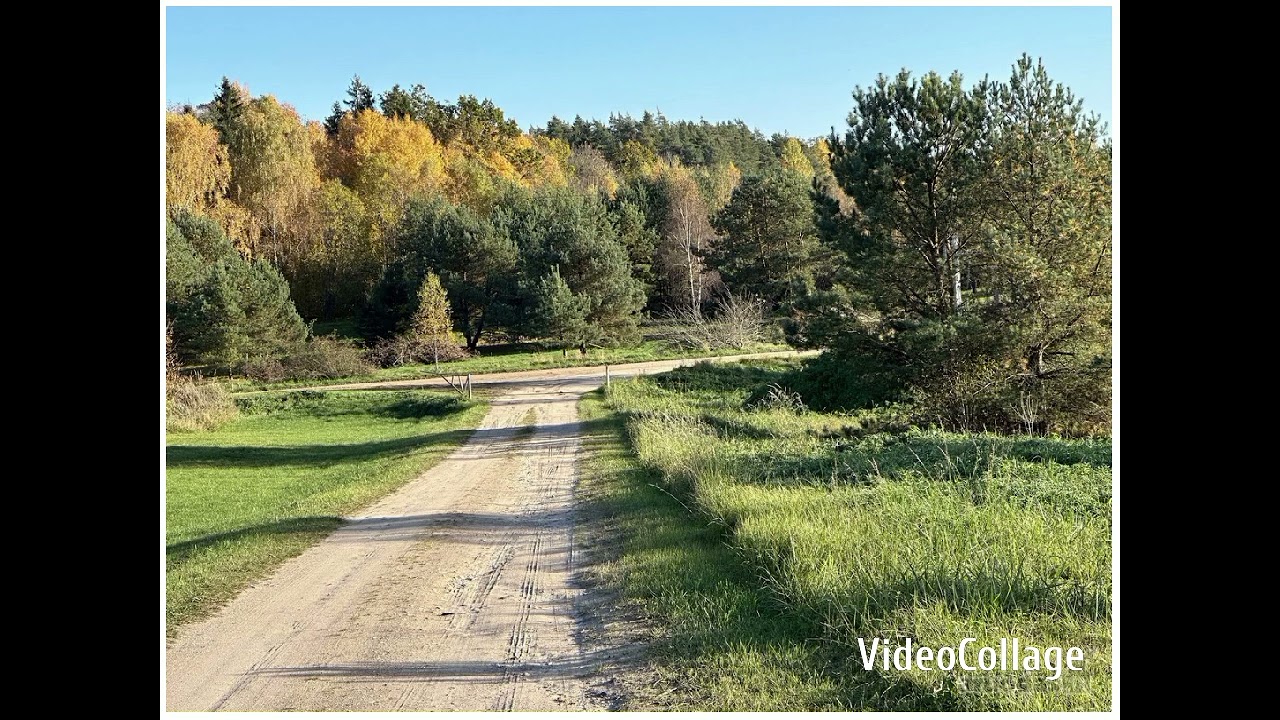 DJSTIRNIUKAS KELIAS I NAMUS