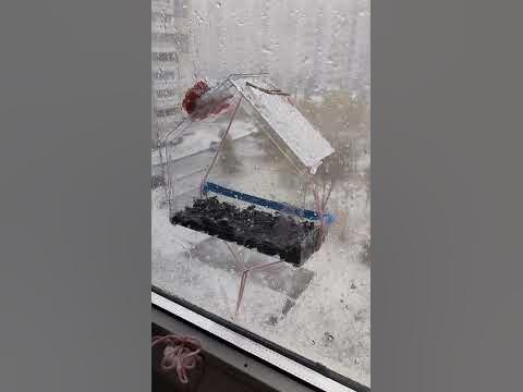 Жесть погода в Нижегородской области, Кстово 😱Зима пришла внезапно ...