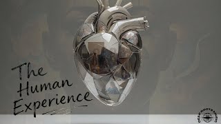 Hold On To The Light - Deep Roots Music & Jack Brandt (Official Lyric Video)
