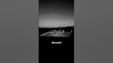 #الصبر_على_البلاء #المصحف #اكسبلور #الرحمن #احترام القرآن الكريم دقيقة واحدة