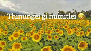 Viral Place Of Manipur | Thinungei Sunflower farm | Expectations VS Reality ❤️‍🩹
