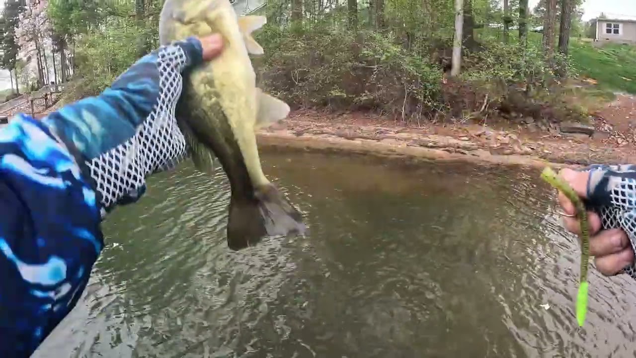 Lake Norman Big Bass Bash 2026 Day 1&2