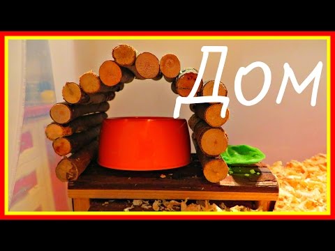 СПАЛЬНЯ ХОМЯКА дом РУМ ТУР - Хомяк и его игровой домик | Elli Di Pets СПАЛЬНЯ ХОМЯКА дом РУМ ТУР - Хомяк и его игровой домик | Elli Di Pets