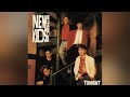 New Kids On The Block Tonight Album Version Promotional Only Audiophile High Quality New Kids On The Block Tonight Album Version Promotional Only Audiophile High Quality