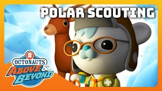 Octonauts: Above & Beyond - 🐻‍❄️ Polar Scouting with Agent Tracker 🐾 |  Compilation | @Octonauts​