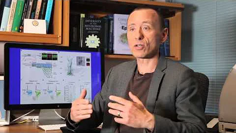 How GABAergic interneurons in the hippocampus choose their postsynaptic partners