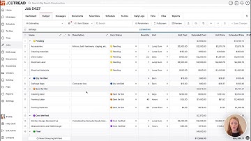 Group Budget by Cost Item Custom Fields