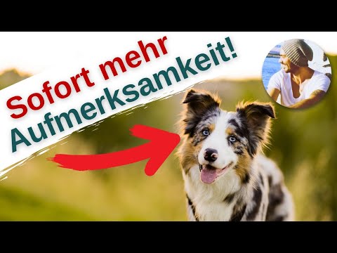 So achtet dein
