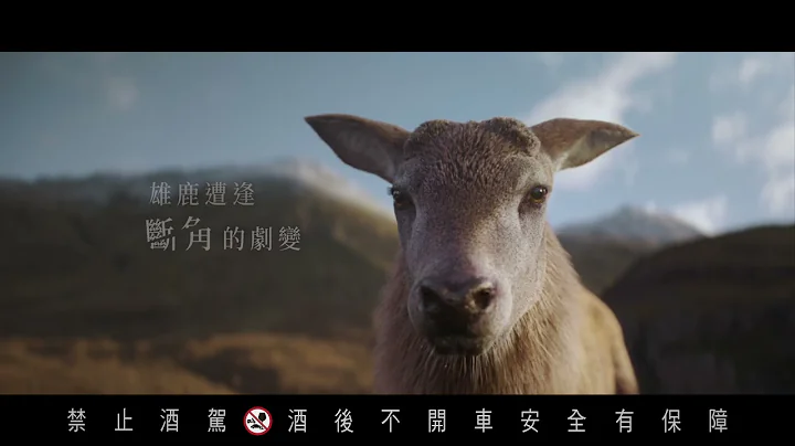Glenfiddich 格蘭菲迪 威士忌領路者 - 天天要聞