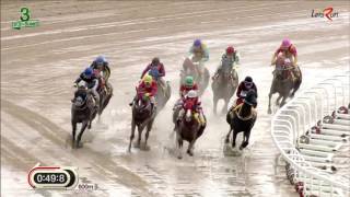 20160930 렛츠런파크 부산경남 3경주 1300m