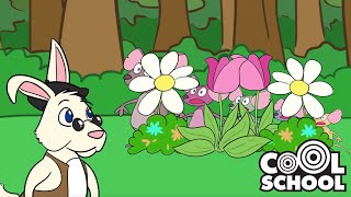 Little Bunny Foo Foo + More! 🐰 Nursery Rhymes for Kids | Cool School