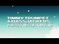 Timmy Trumpet x Bassjackers - Classical Music (Visualizer)