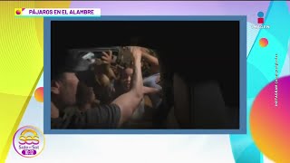 Enrique Iglesias BAJÓ del auto para SALUDAR a sus fans en la Feria de San Marcos en Aguascalientes