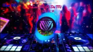 Lao Shu Ai Da Mi 老鼠愛大米 Remix By Chen Wii