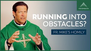 Running Into Obstacles | Fifteenth Sunday in Ordinary Time (Fr. Mike's Homily) #sundayhomily