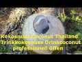 Der Profi-Trick: Kokosnuss öffnen professionell wie in Thailand! YouTube Video