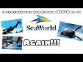 11 reasons why you should NEVER go to SeaWorld again! | Free the Orcas