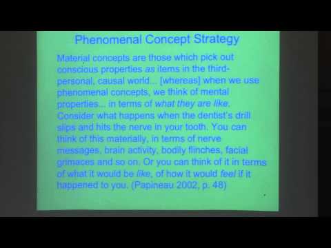 Waterloo Brain Day Lectures 2013: Owen Flanagan (Duke University)