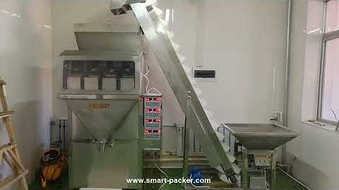 Semi automatic 8 linear weighing heads granule filling machine with elevator bucket feeding system
