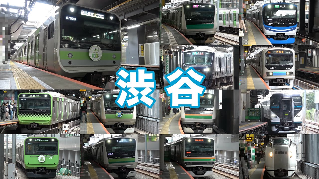 【特別塗装や新型車も大集合！】JR東日本 渋谷駅のいろいろな電車たち　発着集