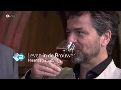 Een zoektocht naar het perfecte bier | Leven in de Brouwerij