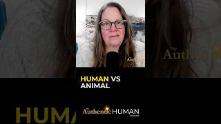 Why Animals Dont Feel Lost