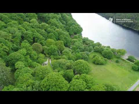 Video: Hvornår blev blessington-søerne lavet?