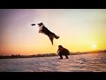 Winter dogfrisbee training-Charlie-Australian Shepherd