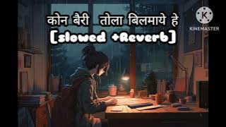 😘कोन बैरी तोला बिलमाये हे😘||kon baeri tola bilmaye he|| cg new  song|| slowed  Reverb