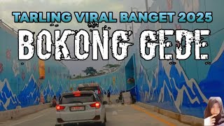 BOKONG GEDE !! TARLING PALING HITS DI 2025 !!
