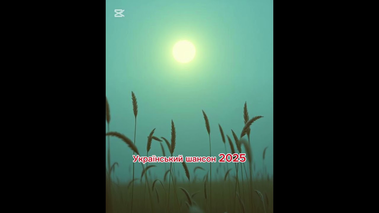 Український шансон 2025 супер хіти українська поезія Вінграновський 