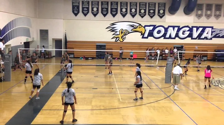 Melanie Ibarra highlights