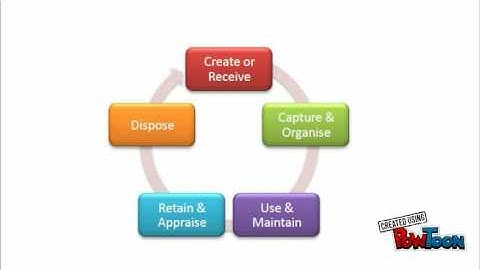 Records life cycle VS Records Continuum
