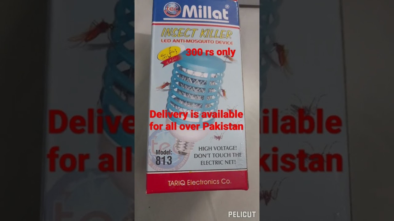 insect killer | best product                