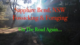 Oberon - Sapphire Bend Fossicking for Sapphires & Foraging Edible Mushrooms