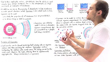 Liposomes (Lipid vesicles)