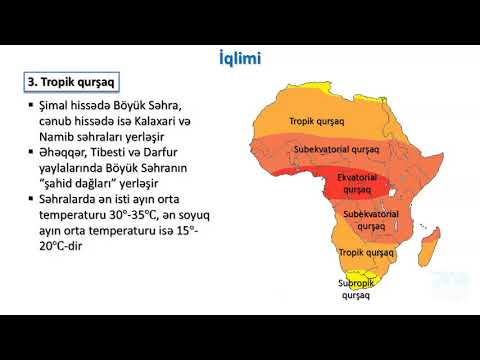 Video: Afrika Taunu Nədir