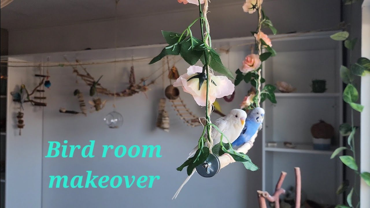 Bird room makeover  