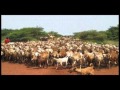 الجيلي ود ماهل كردفان سحمة و جميلة