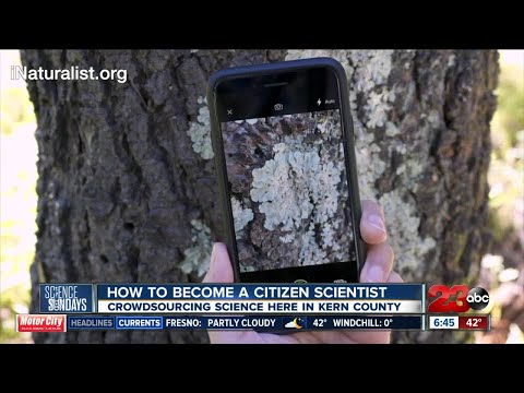 Science Sundays: How to become a Citizen Scientist