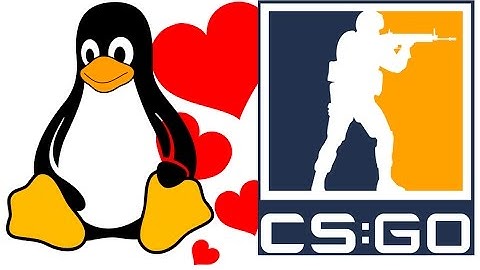 Playing CS:GO on Linux